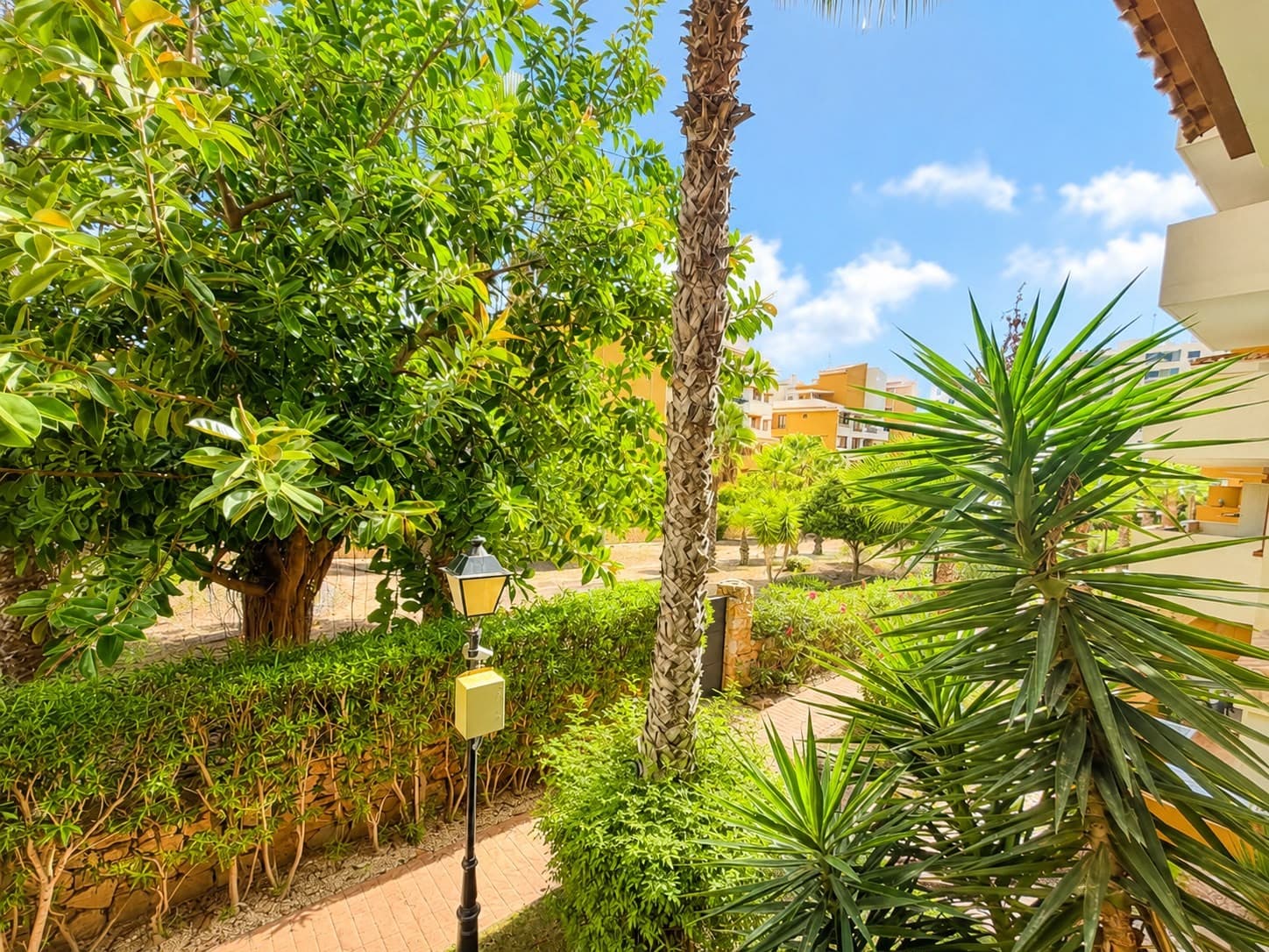 Apartamento Planta Media de 2 dormitorios en Punta Prima - 22