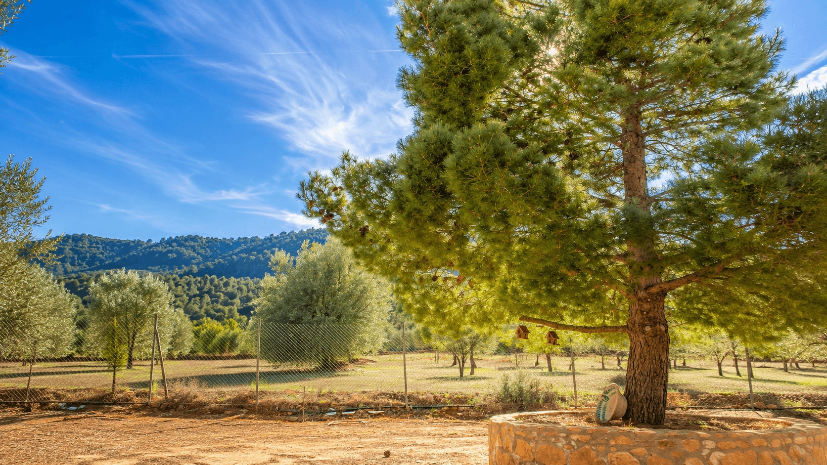 4 bed Villa in Bullas - 11