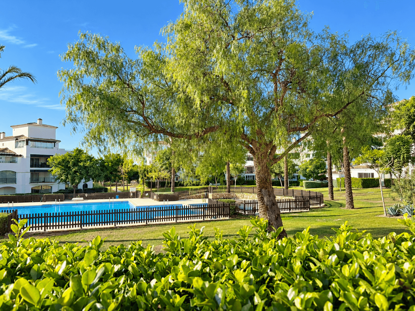 Apartamento Planta Media de 2 dormitorios en Hacienda Riquelme - 34