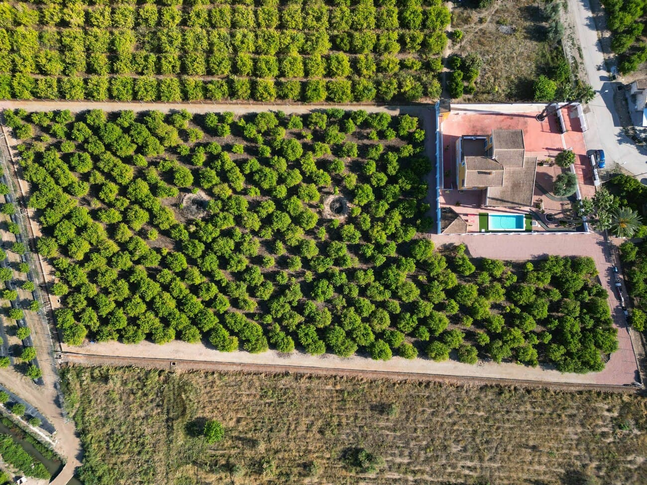Finca - Cortijo met 5 slaapkamers in Orihuela - 1