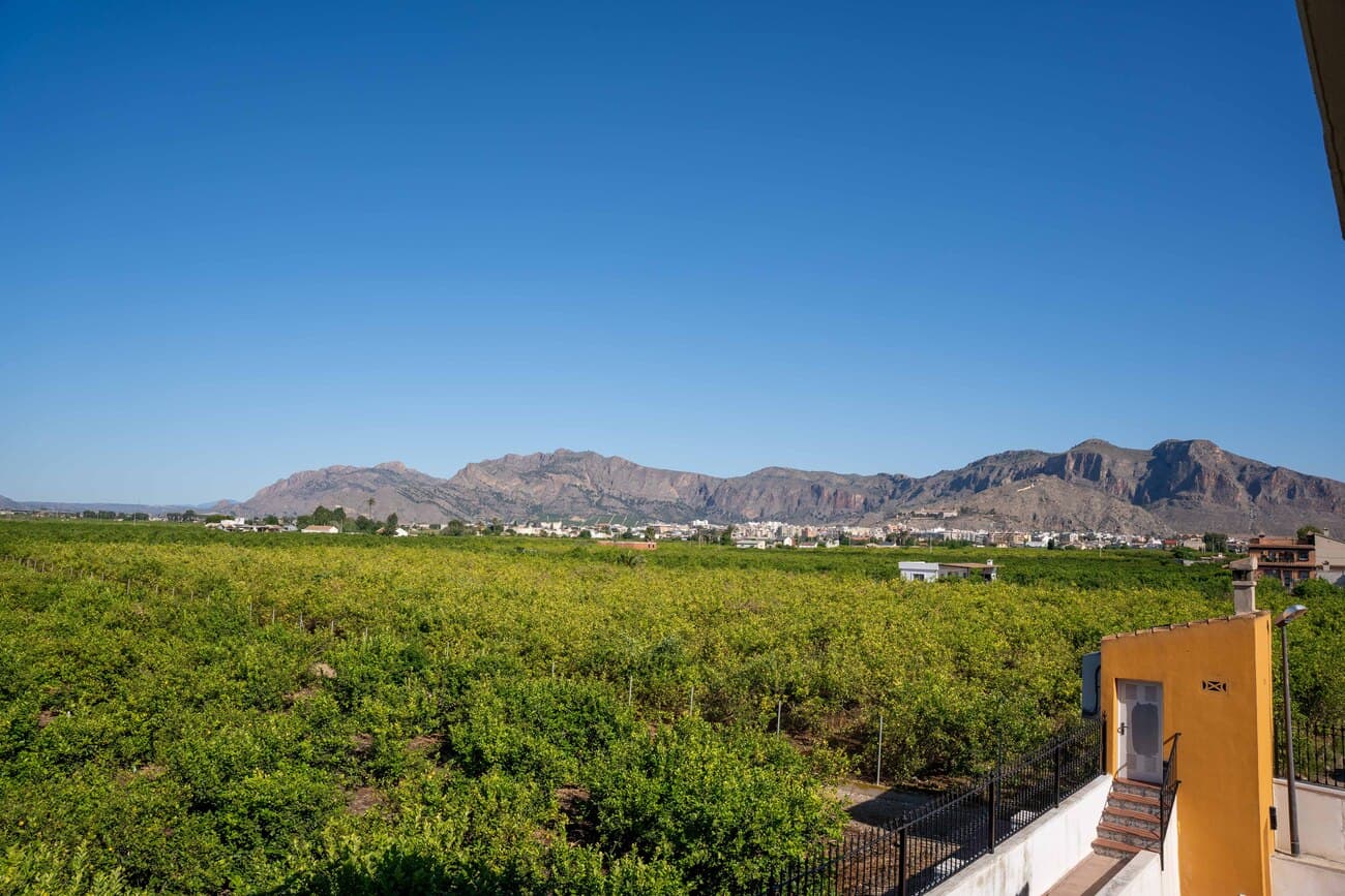 Finca - Cortijo met 5 slaapkamers in Orihuela - 6
