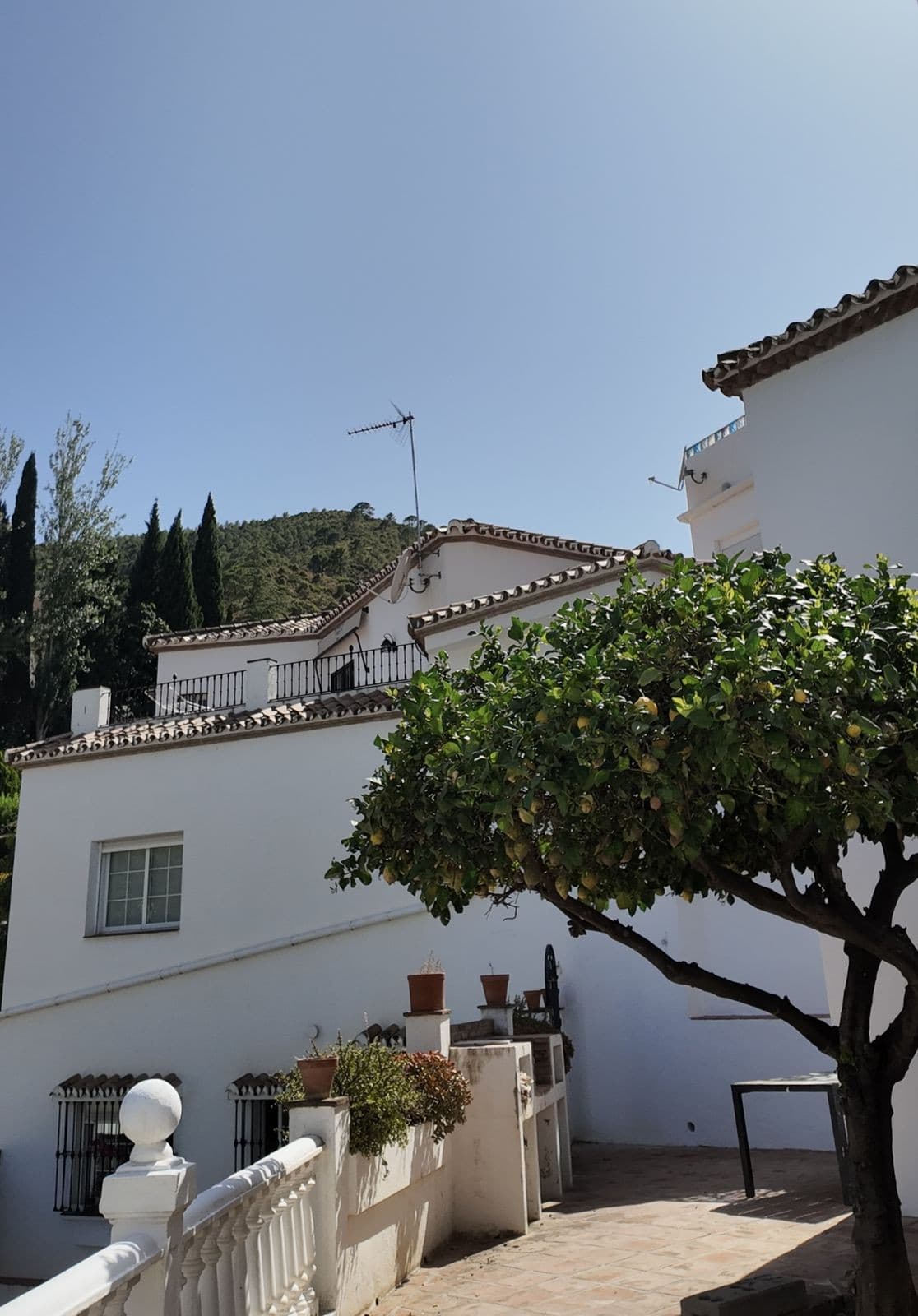 Villa - Chalet de 4 dormitorios en Benahavís - 17