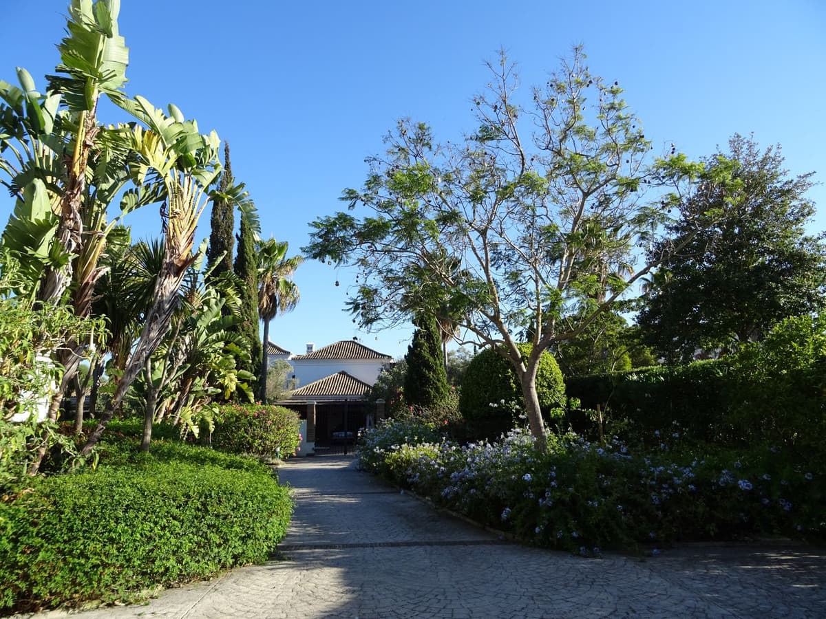 Villa - Chalet de 4 dormitorios en Sotogrande - 15