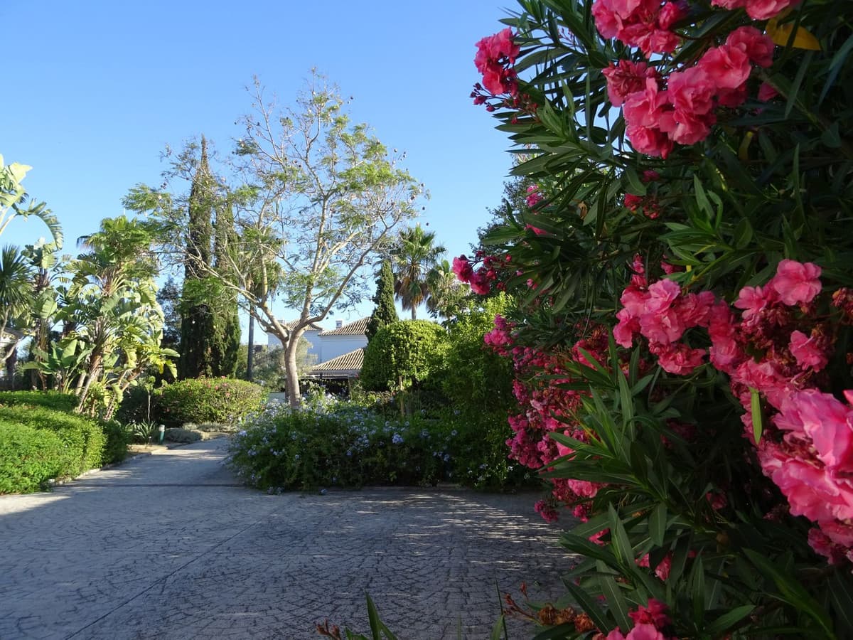 Villa - Chalet de 4 dormitorios en Sotogrande - 17