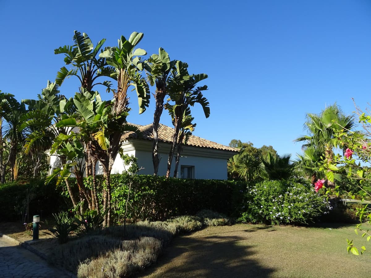 Villa - Chalet de 4 dormitorios en Sotogrande - 20