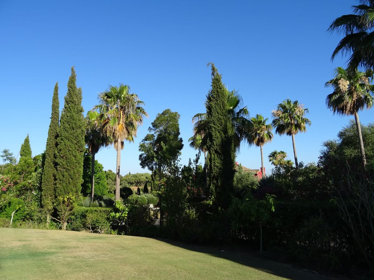 Villa - Chalet de 4 dormitorios en Sotogrande - 23