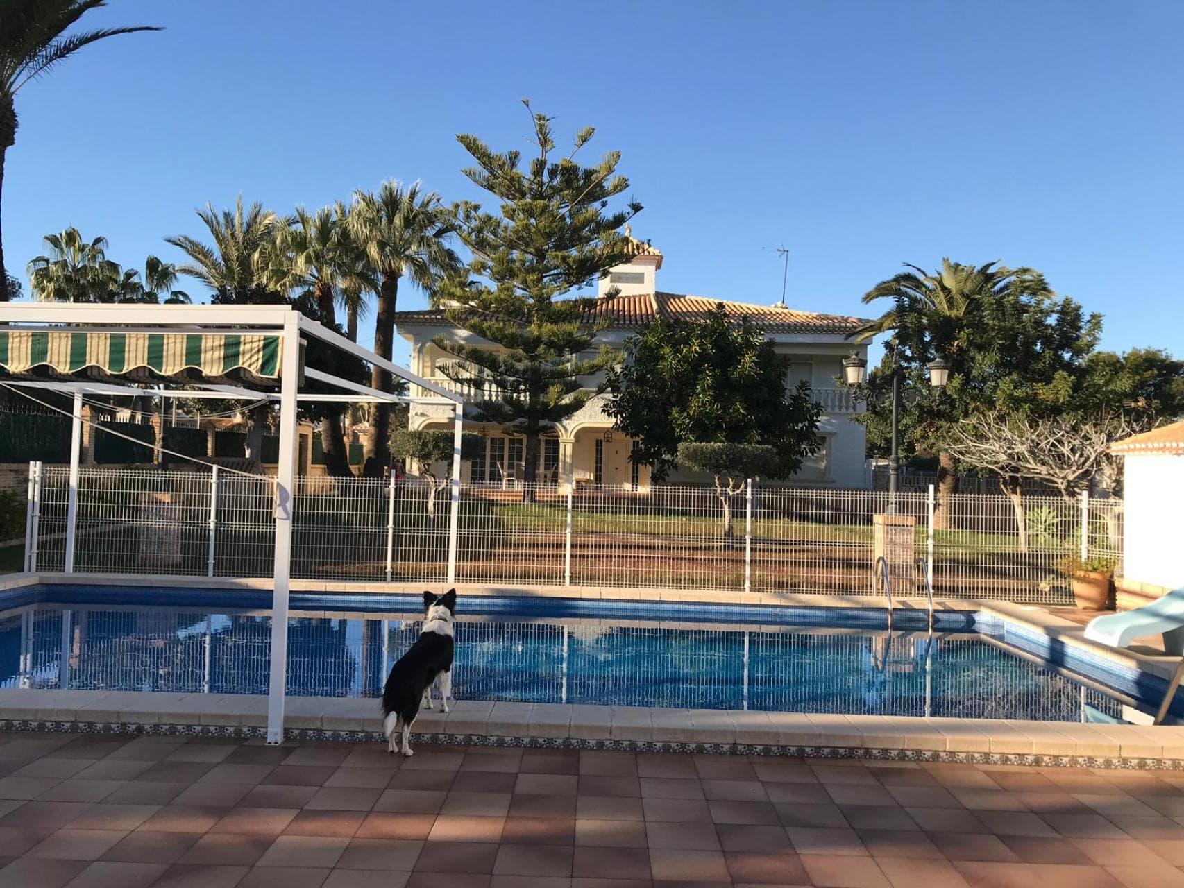 Vrijstaande Villa met 6 slaapkamers in Orihuela Costa - 2