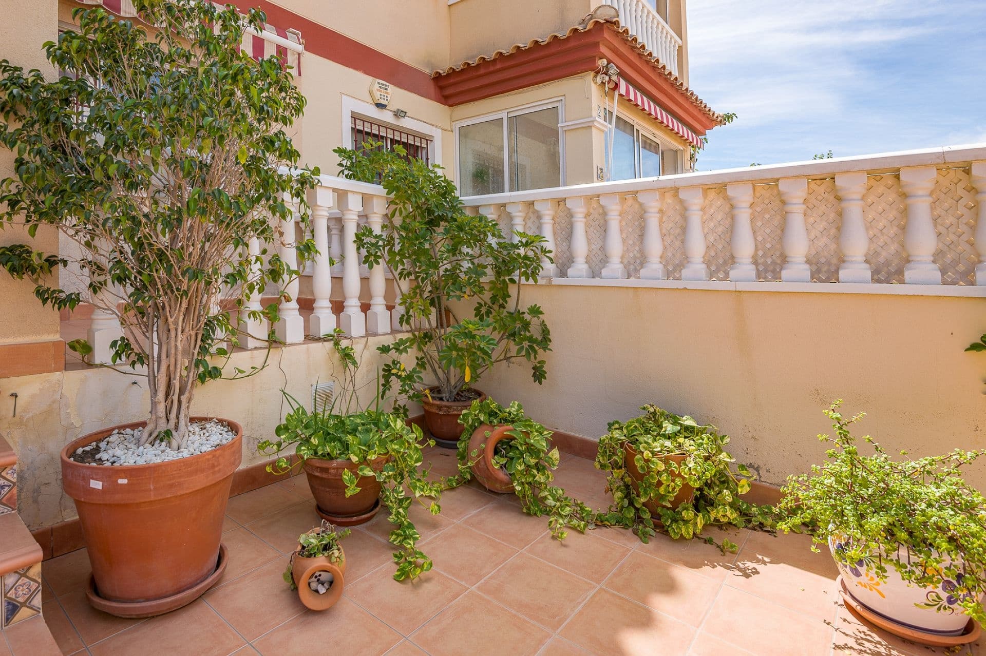 Bungalow de 2 dormitorios en San Pedro del Pinatar - 10