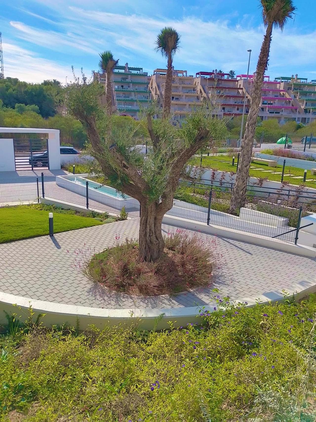 Apartamento Planta Media de 2 dormitorios en Villamartin - 23