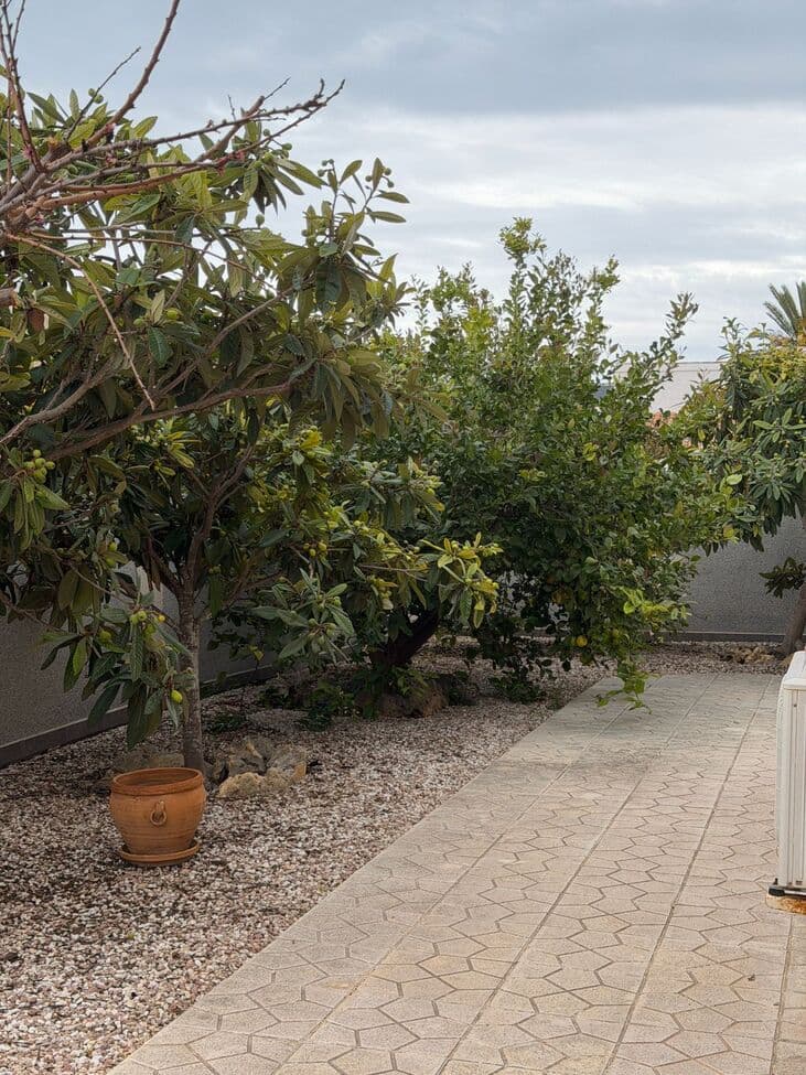 Vrijstaande Villa met 5 slaapkamers in Playa Flamenca - 16