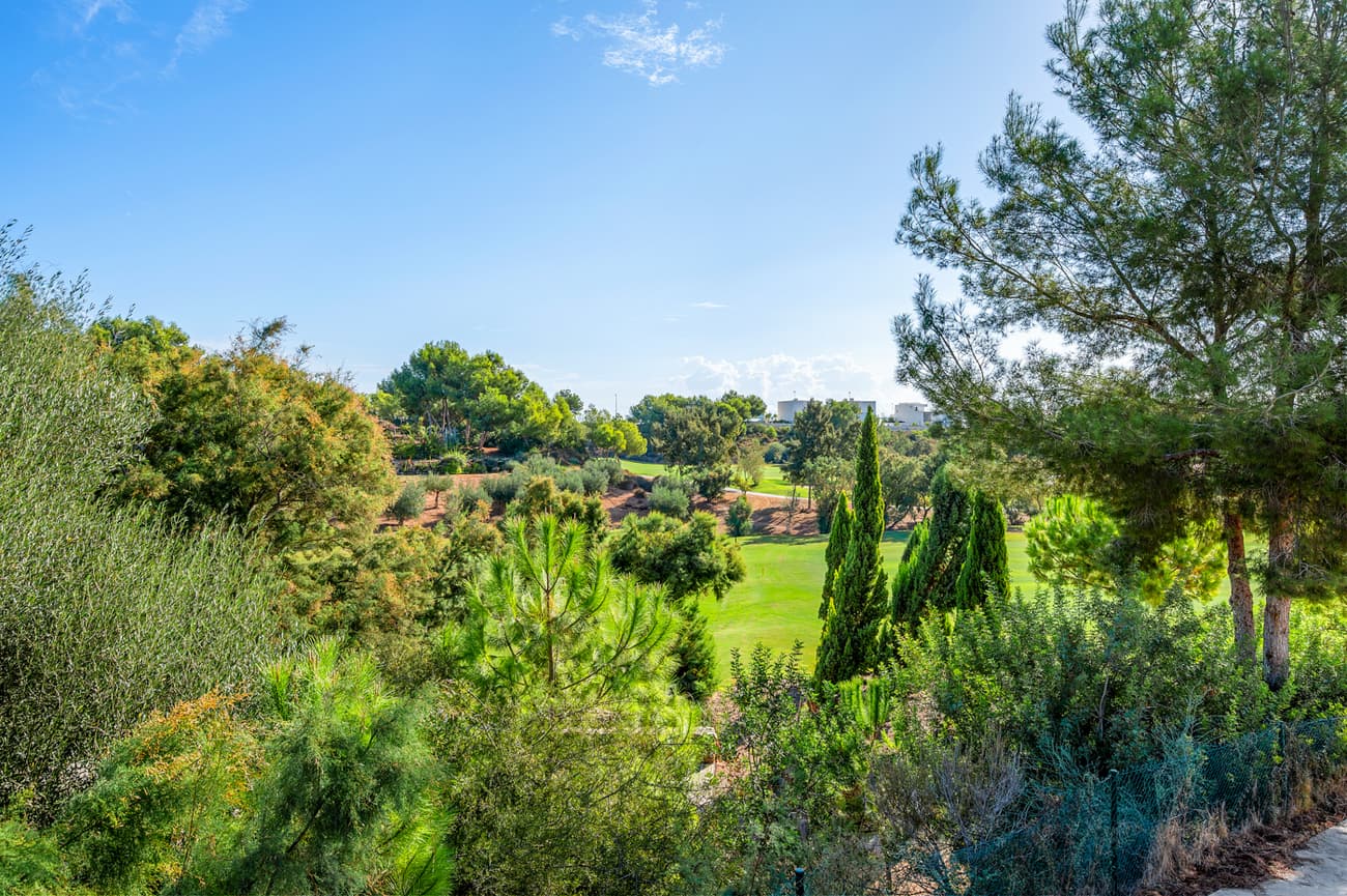 3 bed Middle Floor Apartment in Pilar de la Horadada - 4