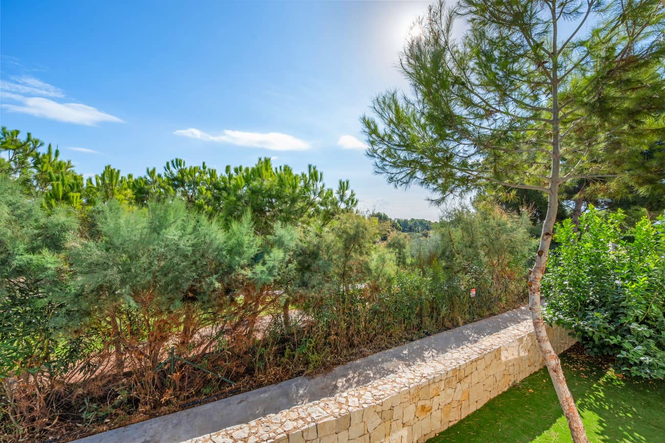 3 bed Middle Floor Apartment in Pilar de la Horadada - 5