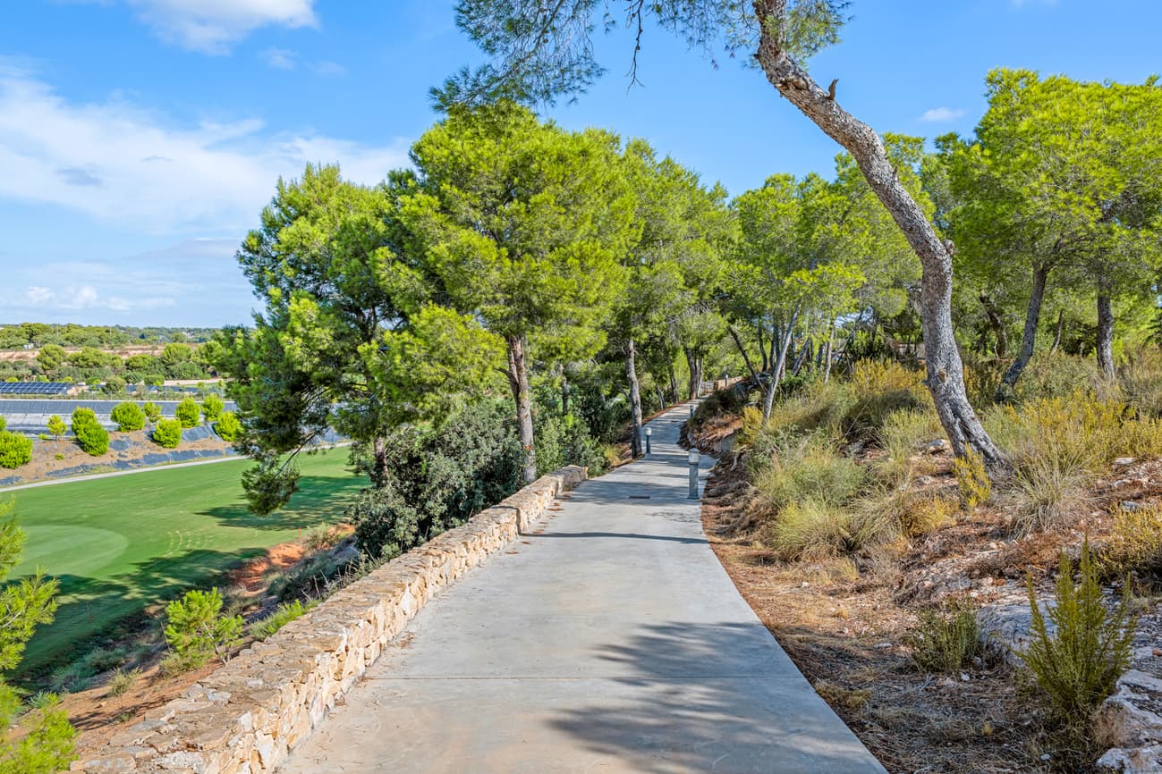 3 bed Middle Floor Apartment in Pilar de la Horadada - 39