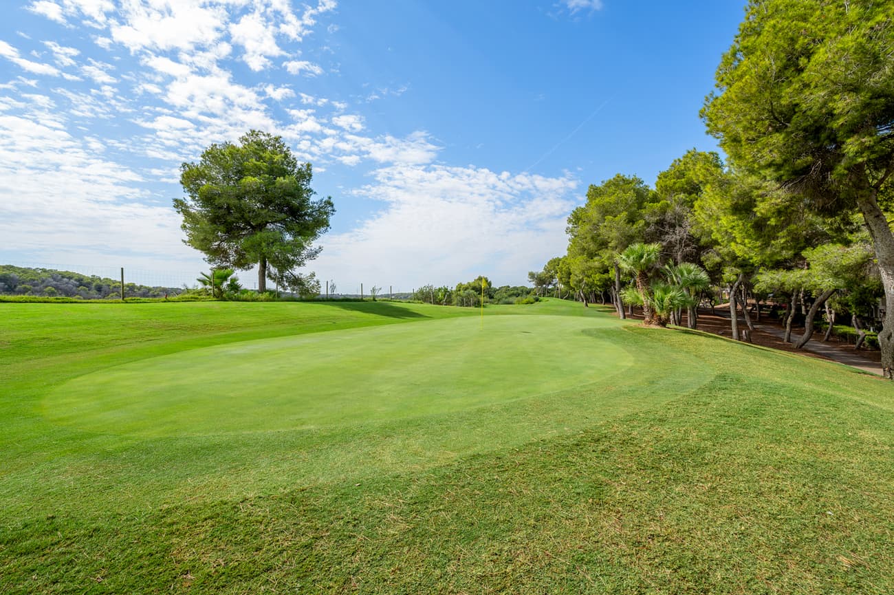 Penthouse Duplex met 3 slaapkamers in Dehesa de Campoamor - 23