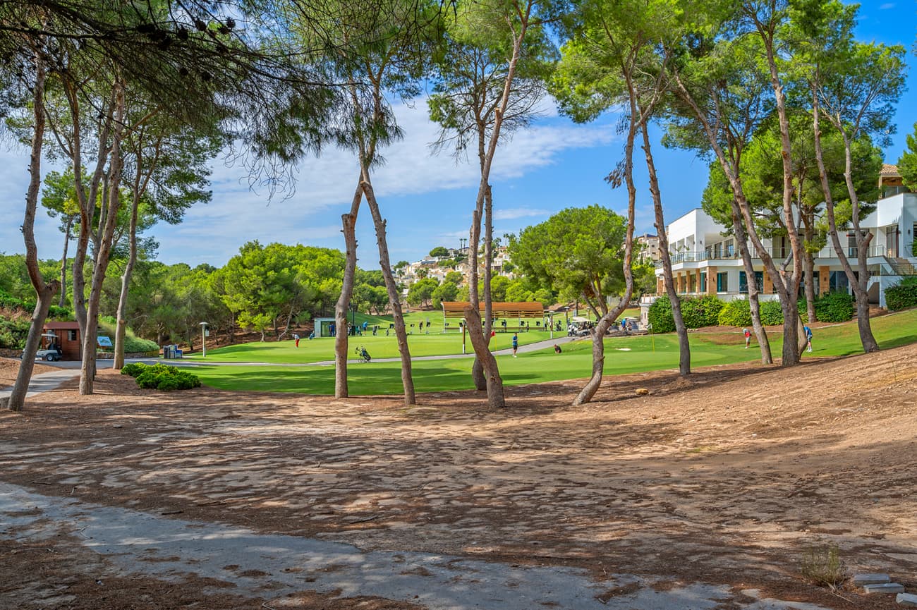 Penthouse Duplex met 3 slaapkamers in Dehesa de Campoamor - 33