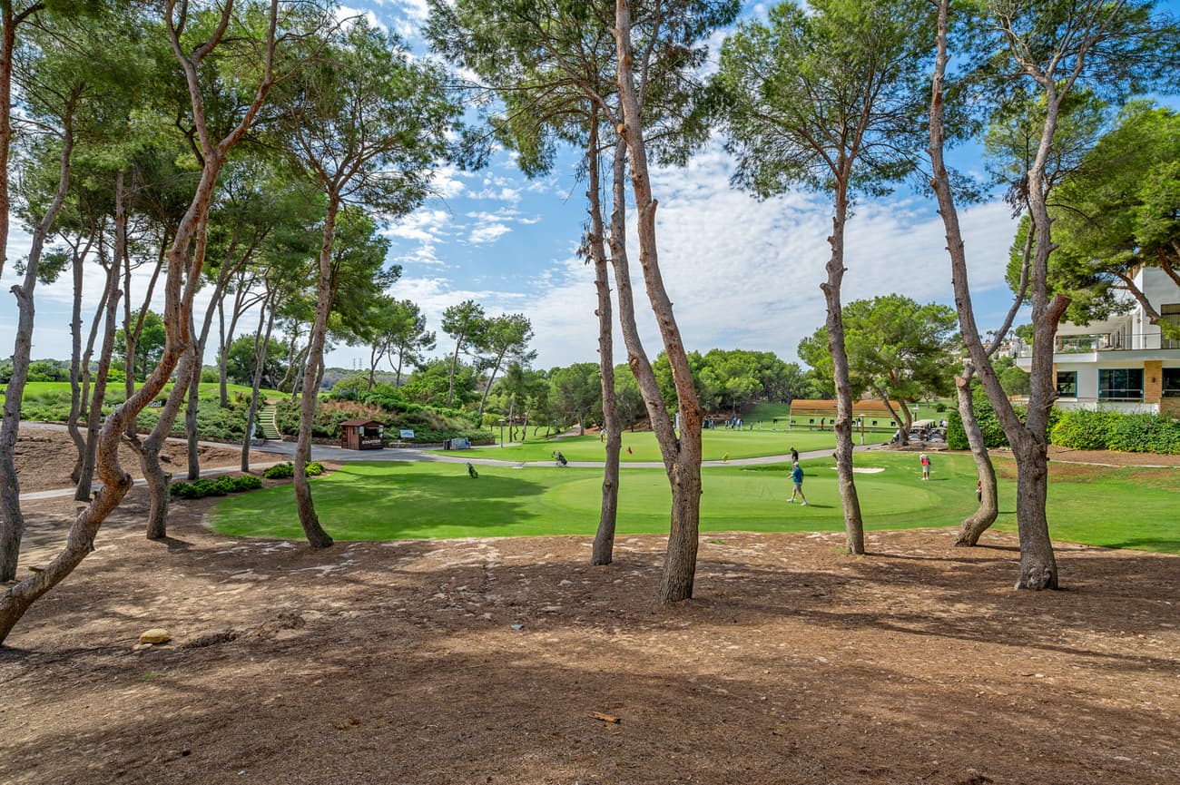 Penthouse Duplex met 3 slaapkamers in Dehesa de Campoamor - 35