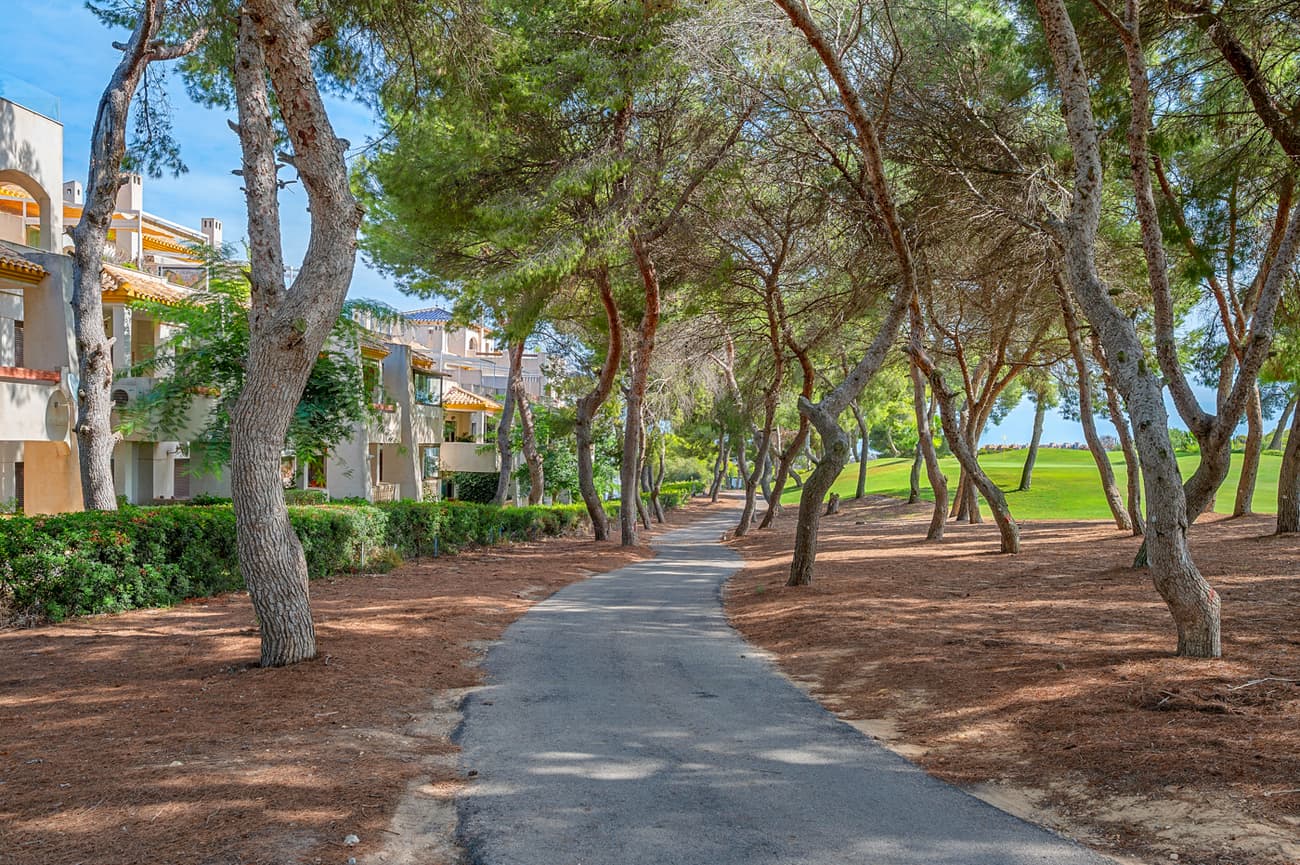 Penthouse Duplex met 3 slaapkamers in Dehesa de Campoamor - 26