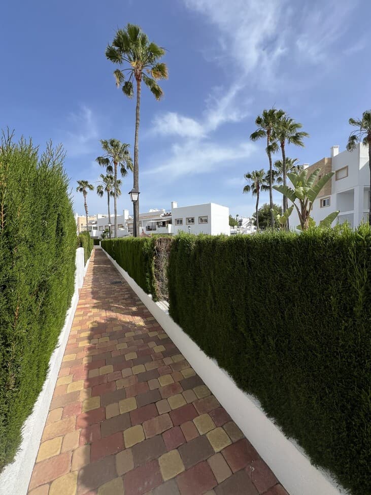 Tussenverdieping Appartement met 3 slaapkamers in Orihuela Costa - 20