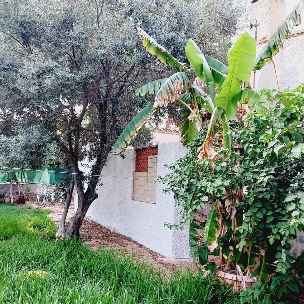 4 bed Detached Villa in Orihuela Costa - 31