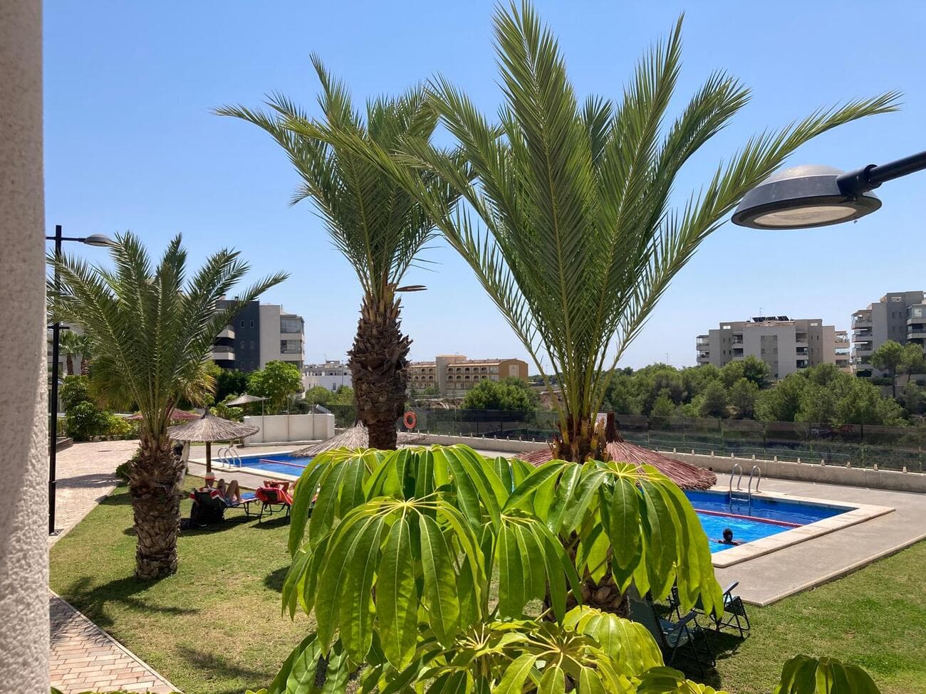 Apartamento Planta Media de 2 dormitorios en Los Dolses - 33