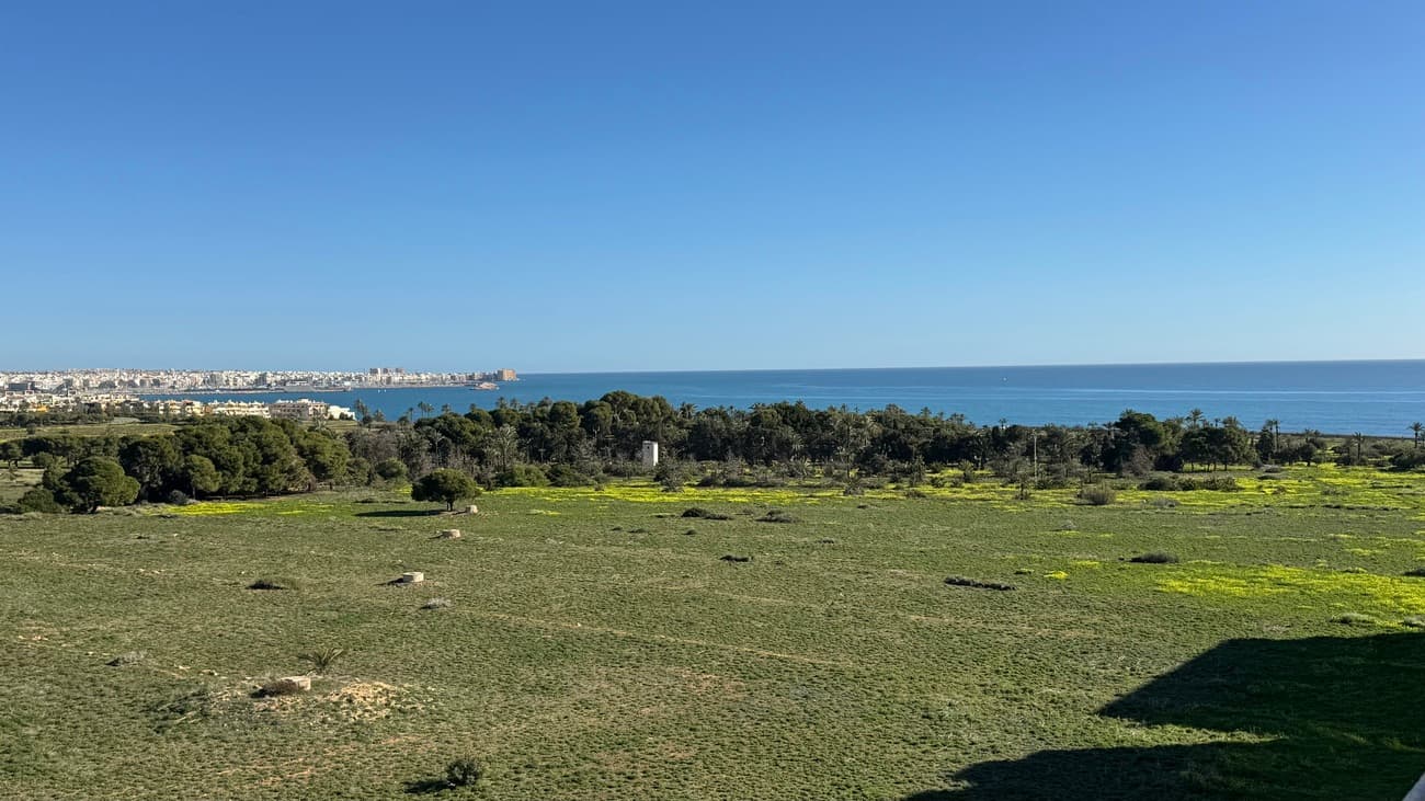 Penthouse met 2 slaapkamers in Punta Prima - 1