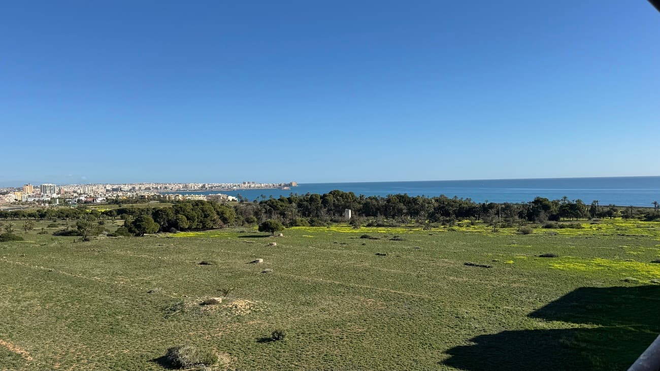 Penthouse met 2 slaapkamers in Punta Prima - 2