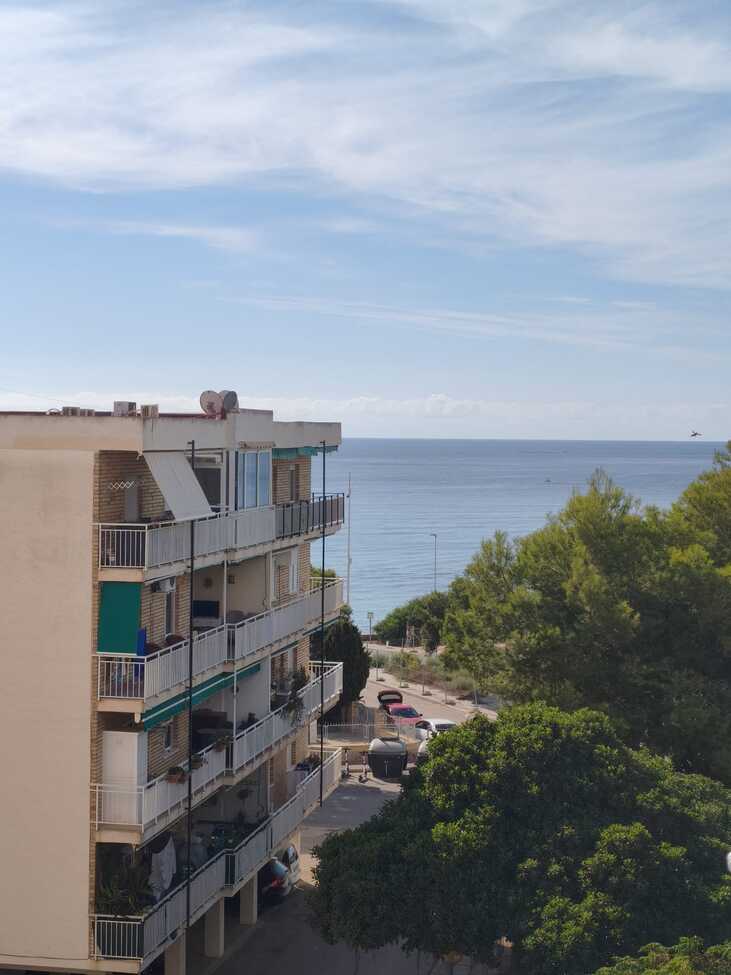 Ático de 3 dormitorios en Punta Prima - 1