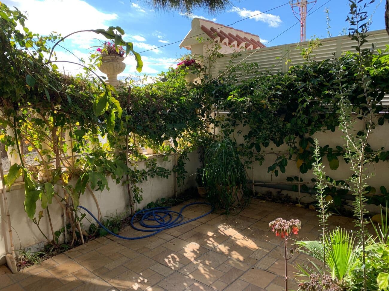 Duplex met 4 slaapkamers in La Zenia - 8