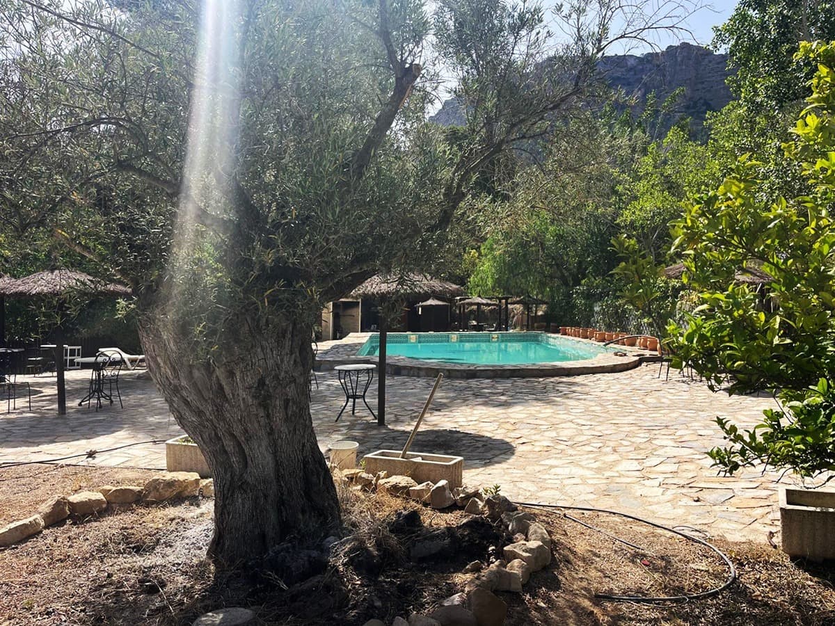 Finca - Cortijo met 3 slaapkamers in Gea y Truyols - 6