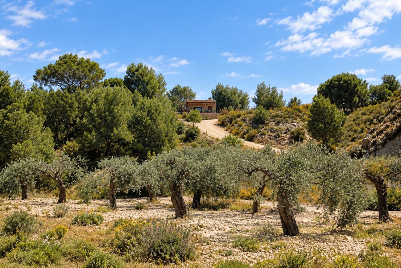 Finca - Cortijo met 3 slaapkamers in Gea y Truyols - 3