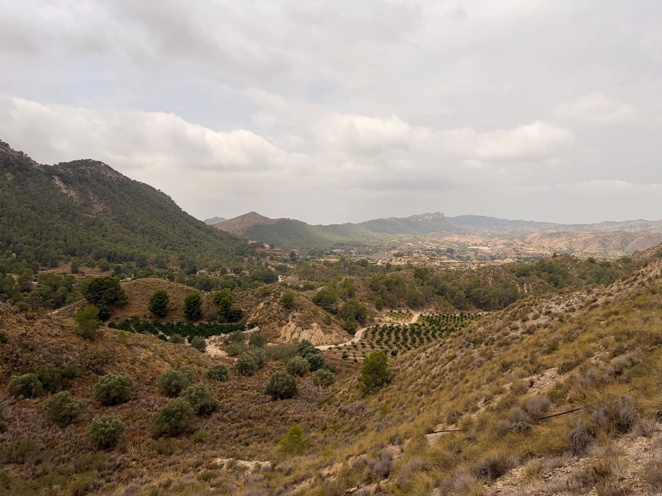 Finca - Cortijo de 3 dormitorios en Gea y Truyols - 2