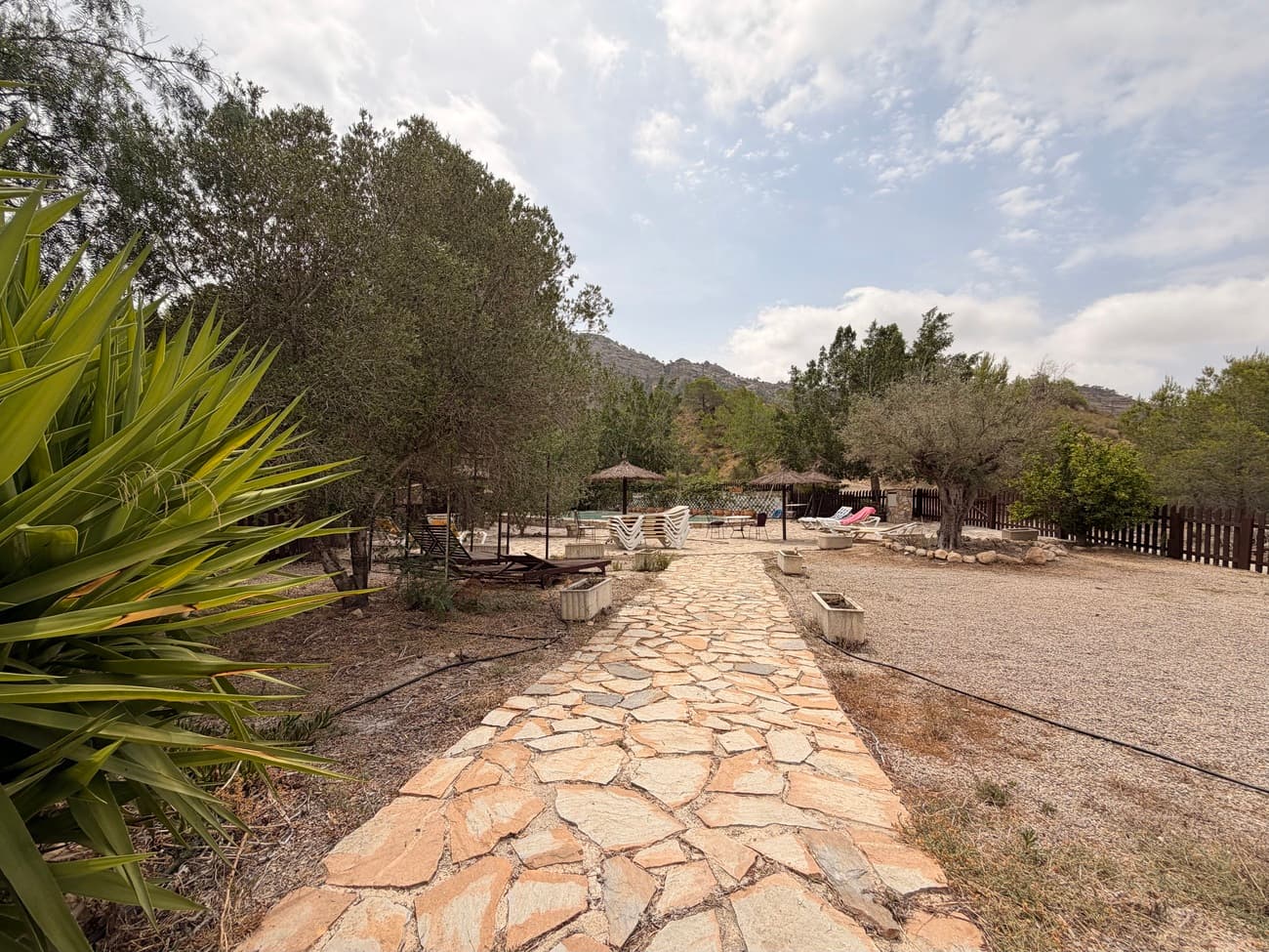Finca - Cortijo de 3 dormitorios en Gea y Truyols - 14
