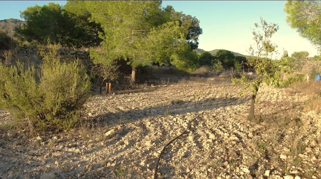 1 bed Finca - Cortijo in Gea y Truyols
