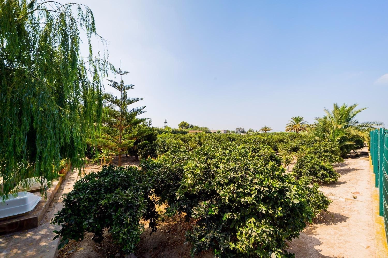 Finca - Cortijo met 5 slaapkamers in Almoradi - 21