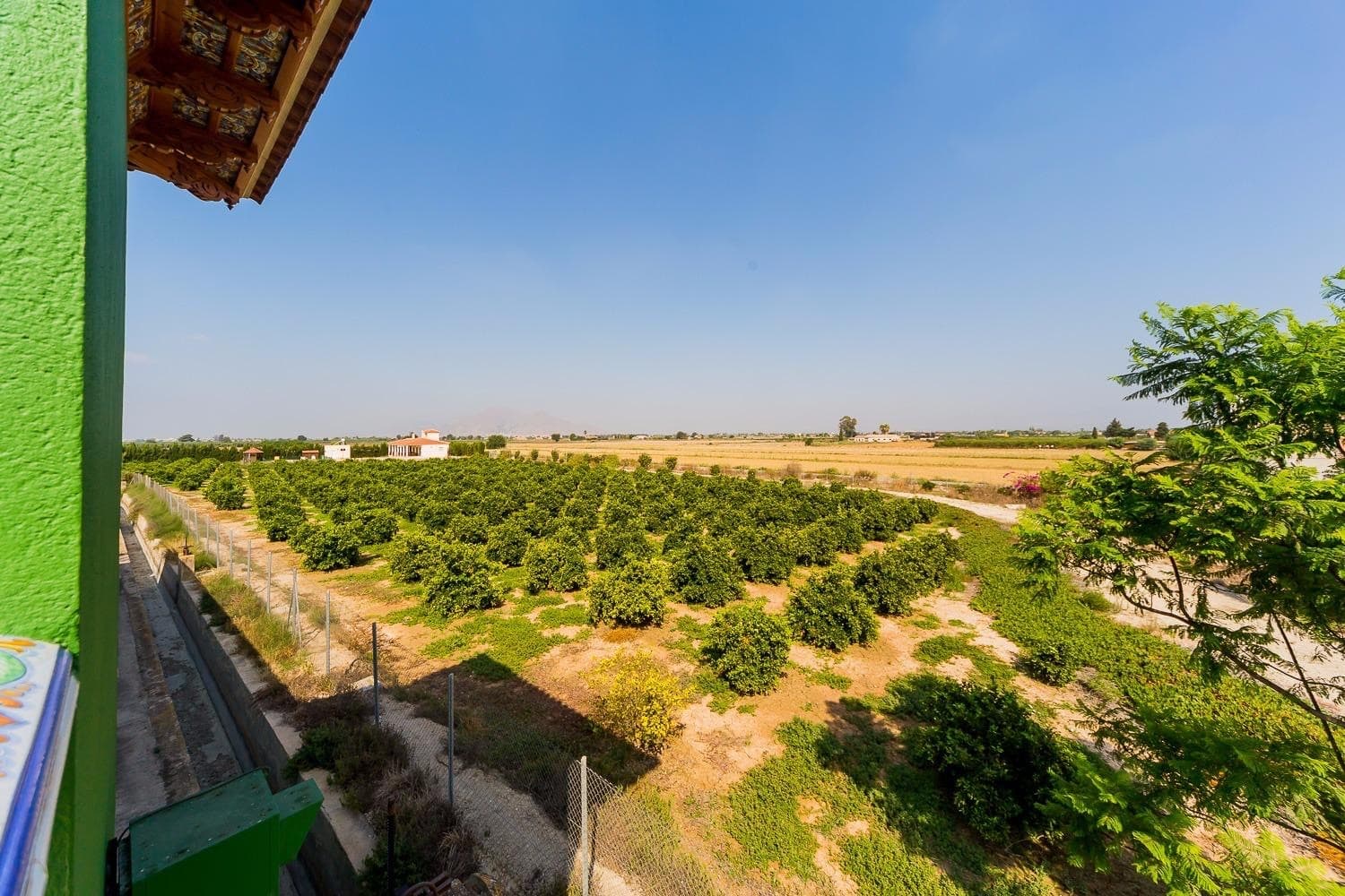 Finca - Cortijo met 5 slaapkamers in Almoradi - 26