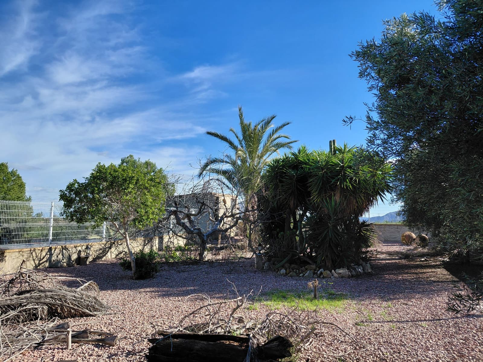 Finca - Cortijo de 3 dormitorios en Orihuela - 31