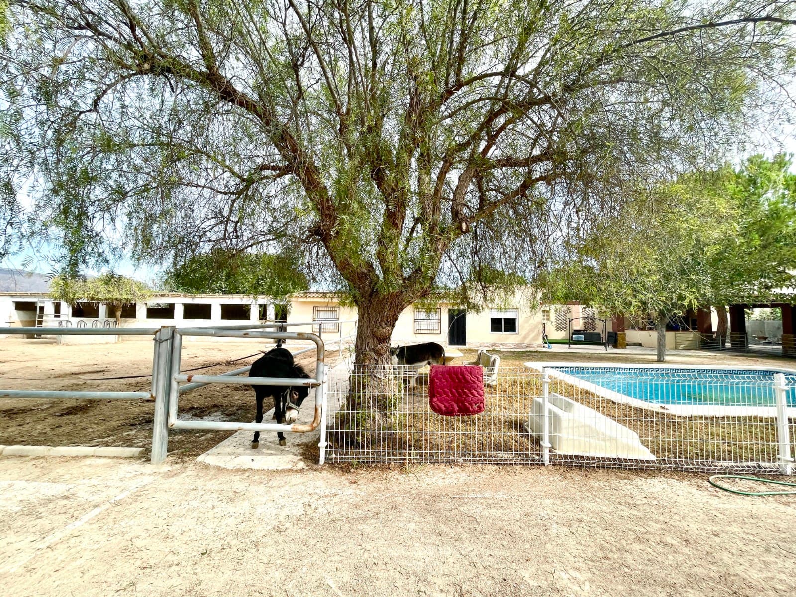 Finca - Cortijo de 3 dormitorios en Orihuela - 31