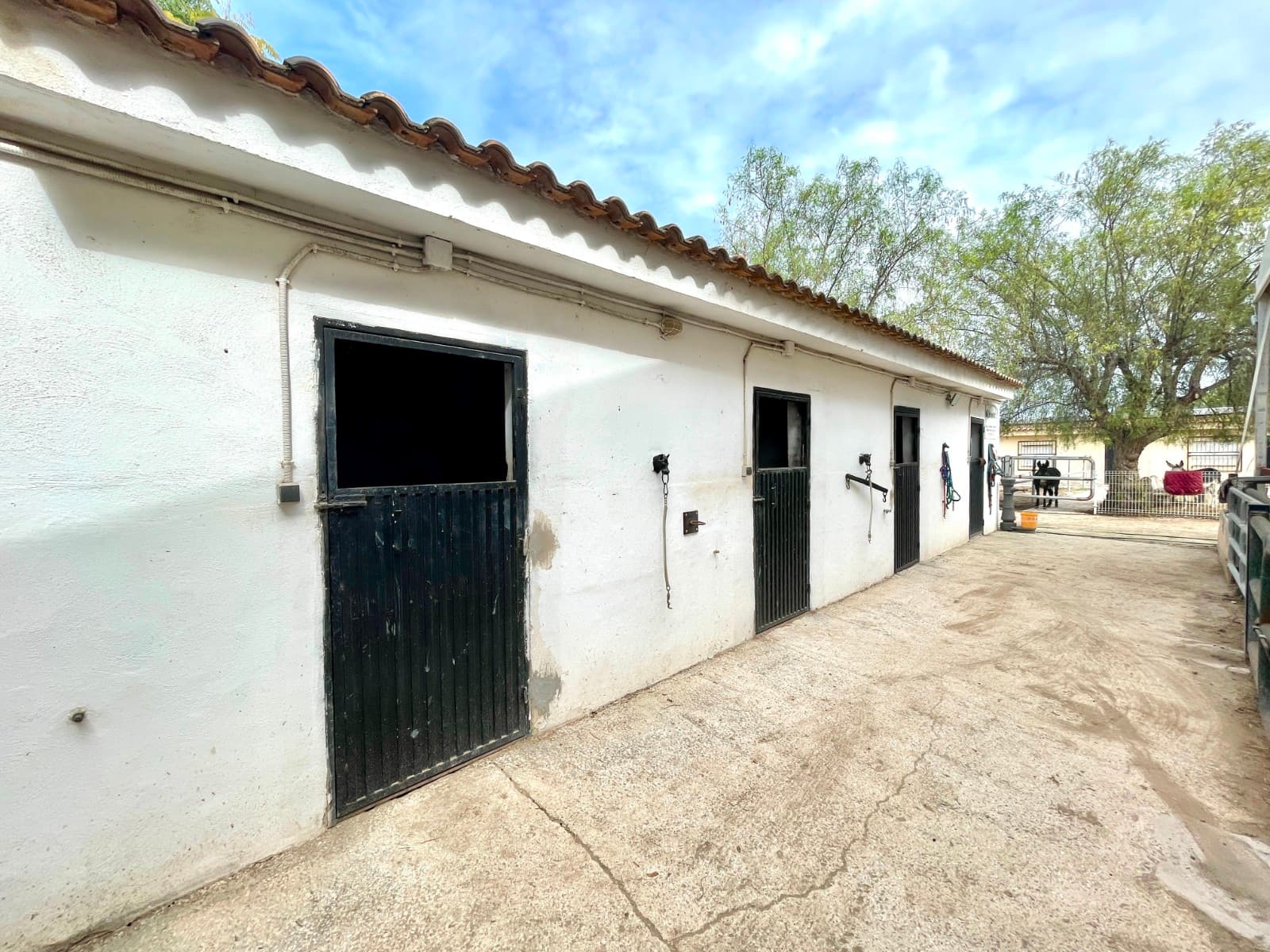 Finca - Cortijo de 3 dormitorios en Orihuela - 25
