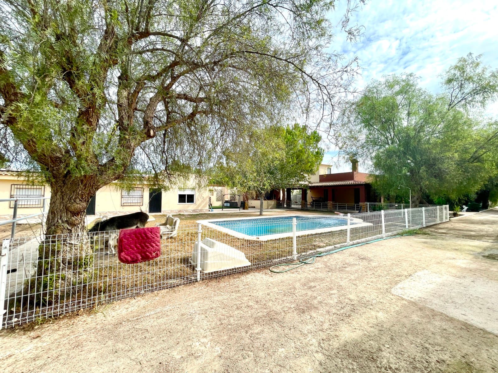 Finca - Cortijo de 3 dormitorios en Orihuela - 32