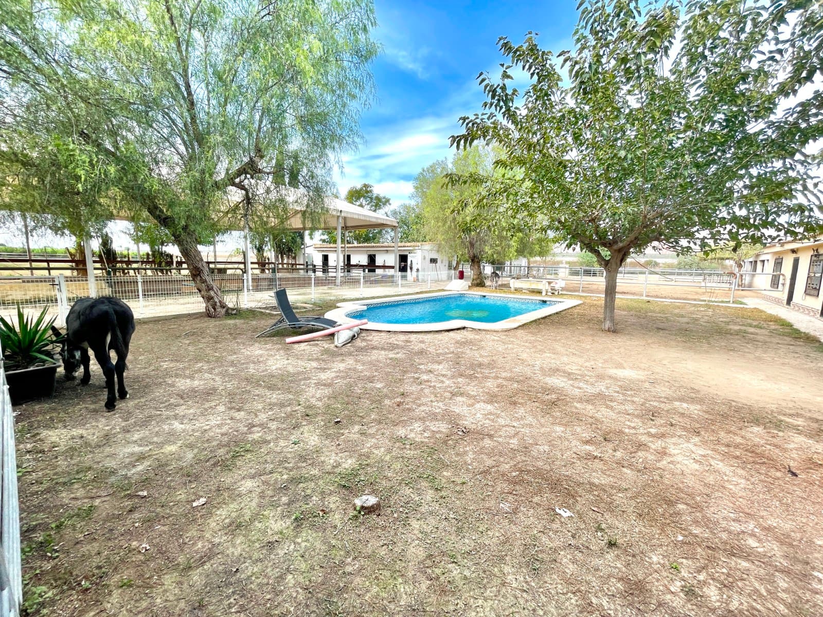 Finca - Cortijo de 3 dormitorios en Orihuela - 21