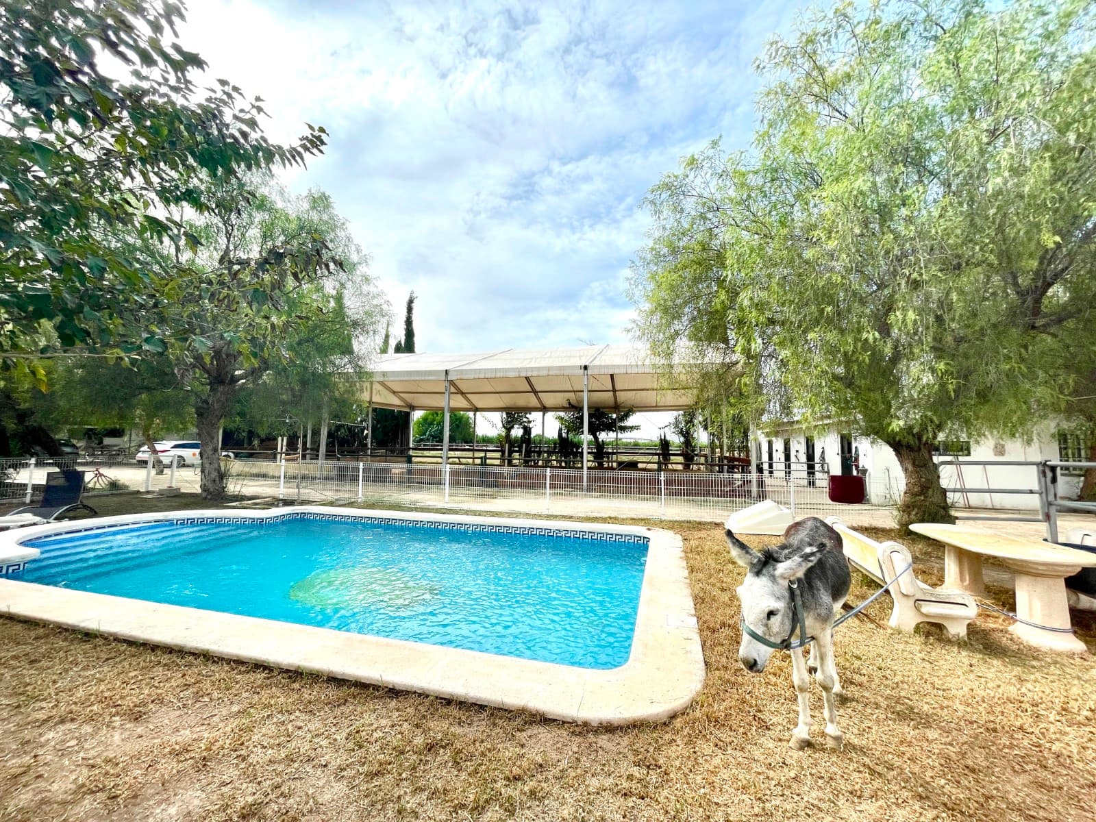 Finca - Cortijo de 3 dormitorios en Orihuela - 1