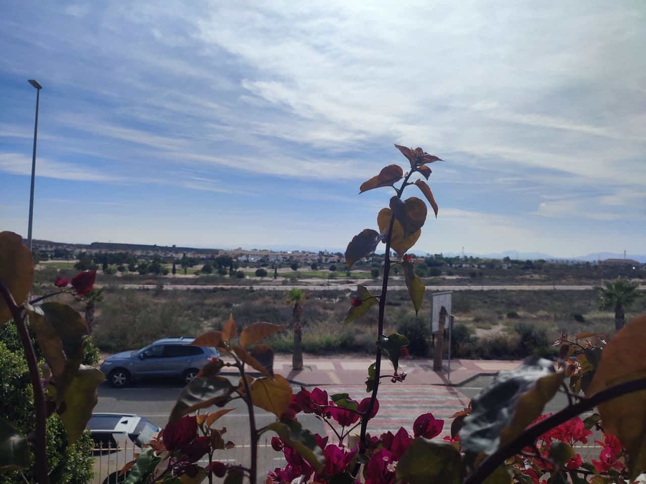 Apartamento Planta Media de 2 dormitorios en Altaona Golf and Country Village