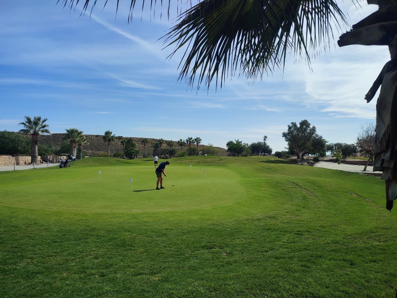 Apartamento Planta Media de 2 dormitorios en Altaona Golf and Country Village