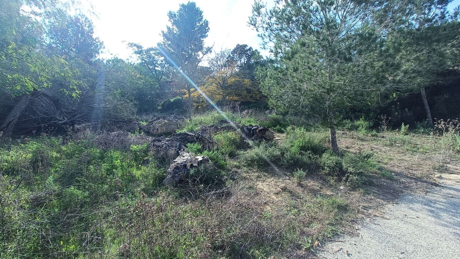 3 bed Finca - Cortijo in Gea y Truyols